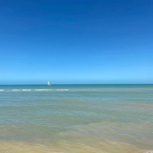 Meet your Posher, Whitney